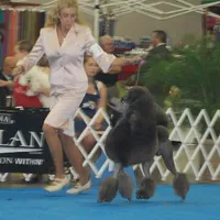 processed/b6e89b8d-7904-4a83-a70c-d6184ddb07fc/facility/d67e6a8b-9f56-4ef4-a58f-7a2dc7790d87