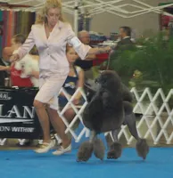 processed/b6e89b8d-7904-4a83-a70c-d6184ddb07fc/facility/d67e6a8b-9f56-4ef4-a58f-7a2dc7790d87