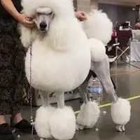 processed/b6e89b8d-7904-4a83-a70c-d6184ddb07fc/facility/e7f23bbc-7270-4994-adf1-41d3d082e68e