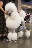 processed/b6e89b8d-7904-4a83-a70c-d6184ddb07fc/facility/e7f23bbc-7270-4994-adf1-41d3d082e68e