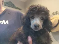 processed/b6e89b8d-7904-4a83-a70c-d6184ddb07fc/listing/17a79fea-2766-41f4-94d2-986a11723e7e/2463e648-773a-466e-b8bf-540689ab6373