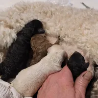 processed/b6e89b8d-7904-4a83-a70c-d6184ddb07fc/listing/17a79fea-2766-41f4-94d2-986a11723e7e/e9c37023-550e-4fca-9f2e-1b52d5c0e70e