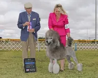 processed/b6e89b8d-7904-4a83-a70c-d6184ddb07fc/listing/b098a8d9-696a-4532-ae29-f7cde04101cd/58574617-9ef2-49ee-9cd9-191f817964b3