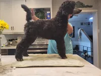 processed/b6e89b8d-7904-4a83-a70c-d6184ddb07fc/listing/b098a8d9-696a-4532-ae29-f7cde04101cd/78e2b6d3-7466-46aa-abf1-44e84cf8b6f5