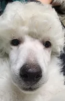 processed/b6e89b8d-7904-4a83-a70c-d6184ddb07fc/listing/b2e3c223-8e50-4ab6-87e8-e71393ae9aab/8ec383f4-fa57-420d-beec-f46d7d871642