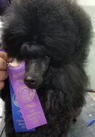 processed/b6e89b8d-7904-4a83-a70c-d6184ddb07fc/listing/b99ddf52-66e8-40da-93ff-9cf9a15cbb0f/1c8563cc-b16e-4723-b2f6-cc31353552a6