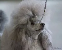 processed/b6e89b8d-7904-4a83-a70c-d6184ddb07fc/listing/b99ddf52-66e8-40da-93ff-9cf9a15cbb0f/9485dc27-4469-47b6-aa34-389d6c7ab1c4