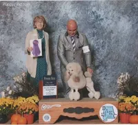 AKC Silver, a  Poodle - Miniature  for sale in China Spring, TX – Photo 5 of 7