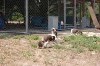 processed/b6e9e0b9-7663-4d7d-911a-21cf1174022a/facility/09cf842b-8032-4c0b-a227-3a8aca54b9e7