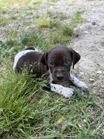 processed/b6e9e0b9-7663-4d7d-911a-21cf1174022a/facility/175640d6-5934-409b-9bfc-3b421f039738