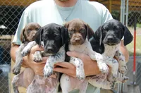 processed/b6e9e0b9-7663-4d7d-911a-21cf1174022a/facility/28fe9172-b3e2-499f-b907-323c340648be