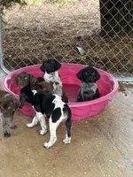 processed/b6e9e0b9-7663-4d7d-911a-21cf1174022a/facility/3f0ec076-effc-41e7-bbab-9a9960e96fd4