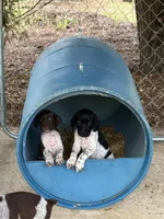 processed/b6e9e0b9-7663-4d7d-911a-21cf1174022a/facility/67de0187-5a89-43b0-acf5-0e82a44097a2