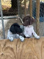 processed/b6e9e0b9-7663-4d7d-911a-21cf1174022a/facility/b4ac19b2-429f-40f1-a00a-022deb724314