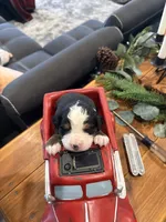 processed/b6e9e341-94ae-492f-befd-489509c00e49/listing/c3af269c-565a-4dfb-ab04-18cab42e7746/b20fb563-428e-4dc4-9b21-3e5ba6b74ca0