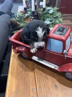 processed/b6e9e341-94ae-492f-befd-489509c00e49/listing/d6b5fa65-d283-4b6f-9539-2face2d04dcf/39e8bb17-fb7a-496d-9968-dd5aa9b5e4b0