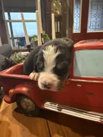 processed/b6e9e341-94ae-492f-befd-489509c00e49/listing/d6b5fa65-d283-4b6f-9539-2face2d04dcf/abbc7016-5d2c-46a8-97bf-26298b13a474