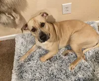 processed/b6f4d3fb-700e-492a-8875-c803e8f92da7/facility/17ebbb7a-783f-4823-9876-0cad0f886378