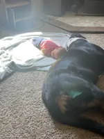 processed/b6f4d3fb-700e-492a-8875-c803e8f92da7/facility/fc1ab56a-c1cf-4579-976f-da2738c0239f