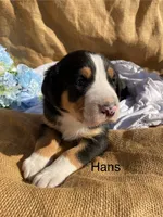 processed/b6f4d3fb-700e-492a-8875-c803e8f92da7/listing/2d16b0ae-3adf-4ddb-84d7-af676b0f40c5/2b24b257-6f95-4016-bff4-109ab6d4a92a