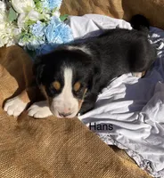 processed/b6f4d3fb-700e-492a-8875-c803e8f92da7/listing/2d16b0ae-3adf-4ddb-84d7-af676b0f40c5/4a5588a7-32b5-4c43-871b-d02a63d71343