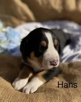 processed/b6f4d3fb-700e-492a-8875-c803e8f92da7/listing/2d16b0ae-3adf-4ddb-84d7-af676b0f40c5/b16030a6-0166-436f-bb51-baaf136b5615