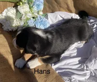 processed/b6f4d3fb-700e-492a-8875-c803e8f92da7/listing/2d16b0ae-3adf-4ddb-84d7-af676b0f40c5/b9b43991-32ba-4db5-9e81-4eb3b62bfe9b