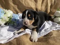 processed/b6f4d3fb-700e-492a-8875-c803e8f92da7/listing/db327d39-d79b-4096-97ce-c2c6b32d83a8/0c65eaf0-1c1a-40a1-ac89-2078a1ef83fa