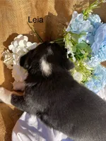 processed/b6f4d3fb-700e-492a-8875-c803e8f92da7/listing/db327d39-d79b-4096-97ce-c2c6b32d83a8/6ca1636a-ec40-439d-8643-bff63f0a8d23