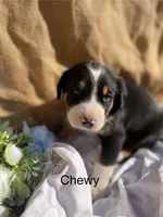 processed/b6f4d3fb-700e-492a-8875-c803e8f92da7/listing/e90dd854-07da-48cb-93b0-52d2aa75efce/1ca910c7-32ab-4f7b-b510-076ed2ae458a