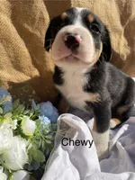 processed/b6f4d3fb-700e-492a-8875-c803e8f92da7/listing/e90dd854-07da-48cb-93b0-52d2aa75efce/2fbe8e07-6170-425c-9a50-27d1e8e7f8f1