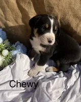 processed/b6f4d3fb-700e-492a-8875-c803e8f92da7/listing/e90dd854-07da-48cb-93b0-52d2aa75efce/7904aff5-3ef8-45e3-ab30-47e61f8da9ac