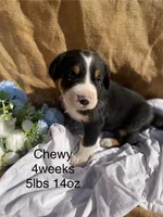 processed/b6f4d3fb-700e-492a-8875-c803e8f92da7/listing/e90dd854-07da-48cb-93b0-52d2aa75efce/97856465-bc35-4701-bd0a-3cad04017c32