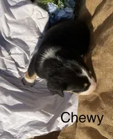 processed/b6f4d3fb-700e-492a-8875-c803e8f92da7/listing/e90dd854-07da-48cb-93b0-52d2aa75efce/97c180ed-23b1-469f-9e14-3b63eaee3948