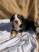 processed/b6f4d3fb-700e-492a-8875-c803e8f92da7/listing/eecc5179-aaf0-487c-9ec4-23b4602581df/1f31bda6-da7d-4141-b0e4-aeeb38e73a02