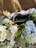 processed/b6f4d3fb-700e-492a-8875-c803e8f92da7/listing/eecc5179-aaf0-487c-9ec4-23b4602581df/5777cd7d-467d-4620-b138-b1fc4e91706b