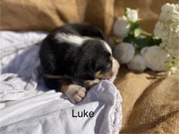 processed/b6f4d3fb-700e-492a-8875-c803e8f92da7/listing/eecc5179-aaf0-487c-9ec4-23b4602581df/a4074c32-062e-49bc-be82-e5cdebc750ac