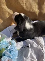 processed/b6f4d3fb-700e-492a-8875-c803e8f92da7/listing/eecc5179-aaf0-487c-9ec4-23b4602581df/e2aef3fc-6236-4939-9b32-bb9eae8b5d70