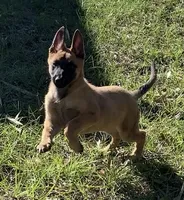 processed/b70101c2-284f-45c0-a266-e80caab239da/listing/4fcb724d-d62c-4a23-9ebe-90161bdc92db/d106e9b9-9708-46e2-8d67-e6f513a9798e