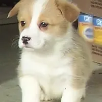 processed/b709559e-d58f-490c-9d5f-451de6ba0841/facility/00320caa-1394-4352-83da-7895788c48cf