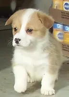 processed/b709559e-d58f-490c-9d5f-451de6ba0841/facility/00320caa-1394-4352-83da-7895788c48cf