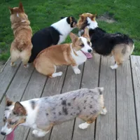 processed/b709559e-d58f-490c-9d5f-451de6ba0841/facility/2fcb364d-707c-4086-b81a-b00b77138a04