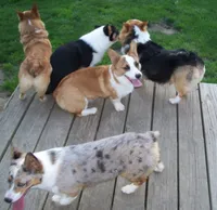 processed/b709559e-d58f-490c-9d5f-451de6ba0841/facility/2fcb364d-707c-4086-b81a-b00b77138a04