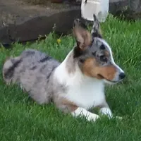 processed/b709559e-d58f-490c-9d5f-451de6ba0841/facility/4027c94f-c962-4a53-aa44-24f66c93368c