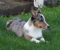 processed/b709559e-d58f-490c-9d5f-451de6ba0841/facility/4027c94f-c962-4a53-aa44-24f66c93368c