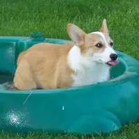 processed/b709559e-d58f-490c-9d5f-451de6ba0841/facility/8ad45bbb-ab67-4a89-844a-237c23fa1652