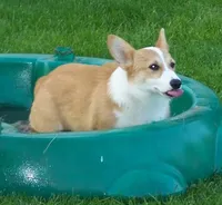 processed/b709559e-d58f-490c-9d5f-451de6ba0841/facility/8ad45bbb-ab67-4a89-844a-237c23fa1652