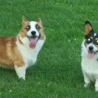 processed/b709559e-d58f-490c-9d5f-451de6ba0841/facility/a7827b2b-a0e1-42a6-8213-713e57186c6e