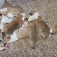 processed/b709559e-d58f-490c-9d5f-451de6ba0841/facility/c221be36-916b-445c-bc73-5144b36bee10