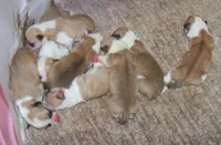 processed/b709559e-d58f-490c-9d5f-451de6ba0841/facility/c221be36-916b-445c-bc73-5144b36bee10